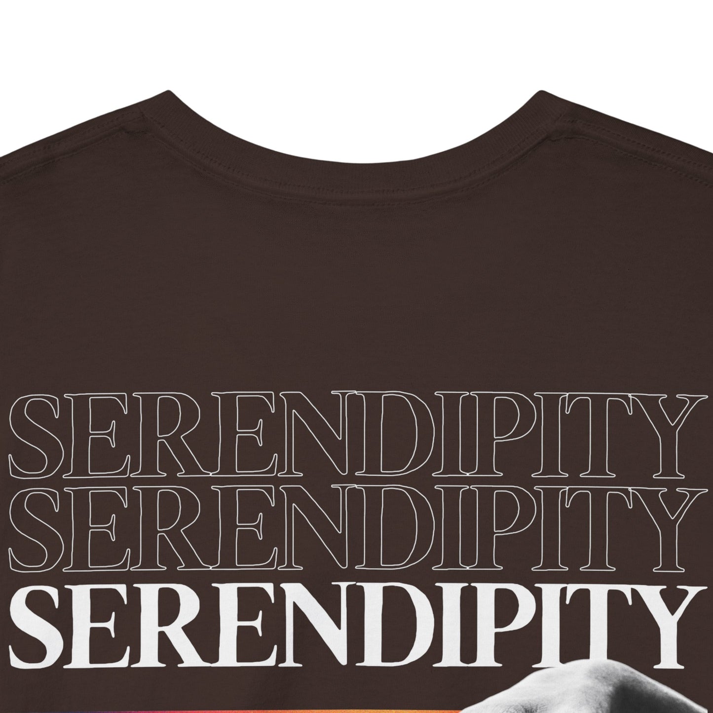 Camiseta estilo Streetwear - Retro Rainbow Hands - Unisex